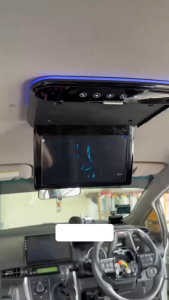 11.6" Full HD 1080P Ultra-Slim Car Roof Monitor MP5 Player | Built-in Speakers | USB SD HDMI AV | For Alphard Aruz Serena X90 Starex