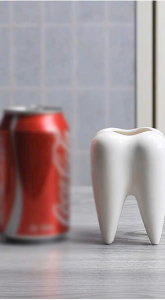 Chậu Trồng Cây Sen Đá Xương rồng Cây Mini Hình chiếc răng Để Bàn Văn Phòng