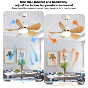 Home Ceiling Fan Light DC Motor Fan Light Remote Control smart light for Dining Room Living Room