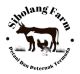 Sibolang Farm Online