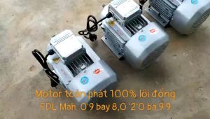 MOTOR ĐỘNG CƠ ĐIỆN 1PHA 15KW TỐC NHANH