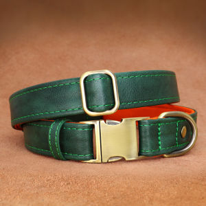 JINLINGJIE | Anti-lost Dog Collar