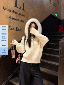 Hooded Wool Cardigan Sweater Women Korean Style