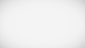 WD My Passport 1TB - HD HDD Harddisk Hardisk Eksternal External 2.5" USB 3.2