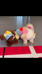 Set bộ dây dắt Chó Mèo kèm yếm ngực và nón đội cùng tông màu dễ thương - Love Pets Shop