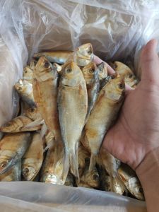 IKAN ASIN BELO ISI 1KG