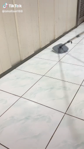 Mop Bucket Set 2IN1 Alat Pel Lantai Dengan Ember Kapasitas 3 Liter Air Kotor& Bersih Terpisah Pel Lantai Modern