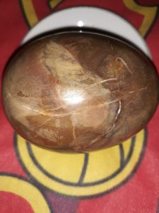 Natural Fancy Egg stone