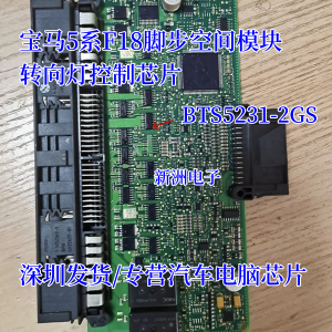 Bts5231-2Gs Vehicle Lighting Chip Module for Chevrolet Bmw5 Series F18 Footspace Car Lamp Chip