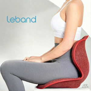 leband | Waist Support Shaping Cushion