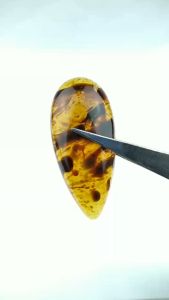Natural Getah Katilayu Original Size liontin Kalung & Anting