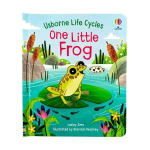 Usborne Life Cycles One Little Frog