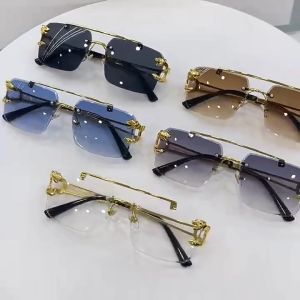 1 x Sunglasses Retro Cheetah Decoration Rimless Sunglasses for Women Men Metal Steampunk Sun Glasses Frameless Fashion Shades UV400 Eyewear