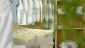 [SG STOCKS] Underwear & Socks Compartment Organizer / Undergarment Storage Box / Bra Wardrobe Organizer/ Compatible with All Drawers