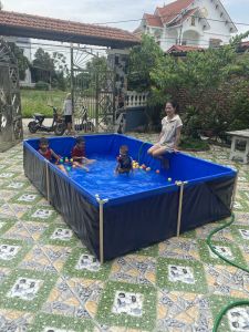 Bể bơi cho các bé bền chắc chắn 3x2x065