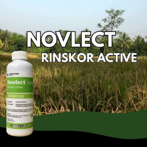 Novlect Rinskor: Modern Solution for Tough Rice Weeds