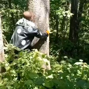 BABEDUO 1 Pair Non-Slip Climbing Tree Spikes Hook Shoes Climbing Tree Tools for Observation Picking Fruit