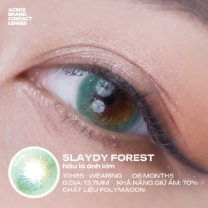 (HOẢ TỐC SG) Kính áp tròng màu Xanh lá ánh kim SLAYDY FOREST ACROS – Lens dùng 6 tháng đeo 10h/ngày