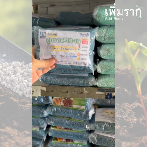 ปุ๋ยแบ่งขาย สูตรยอดนิยม ปุ๋ย16-16-16 / ปุ๋ย46-0-0 / ปุ๋ย8-24-24 / ปุ๋ย15-15-15 / ปุ๋ย25-7-7 / ปุ๋ย21-0-0 / ปุ๋ย13-13-21