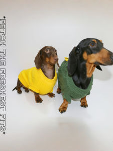 Warm Dinosaur Knitwear Sweater for Cats And Dogs Small to Medium Size Breeds like Bichon Schnauzer Pomeranian for Autumn Season