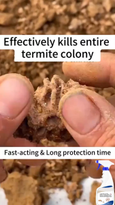 99.99% Effective Termite killer spray 500ml odorless anay killer spray japan non toxic anay pest control termite Never see ants again!GO Ants spray Ant killer spray organic killer Ant repellant spray 500ml Plant non-toxic long-lasting