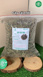 500g 1kg Cây Cải Trời Loại 1 Đức Thiện (Khô Sạch Thơm) - Bứu Cổ Lở Ngứa Thuỷ Đậu Vẩy Nến Lợi Tiểu