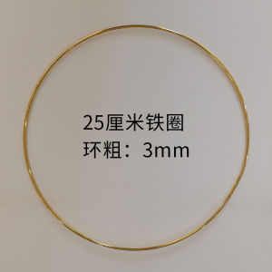 Modern Simplicity Iron Ring Reflective Sheet Decorative Accessories for Hallway Entrance Corridor Reflective Disk Decor