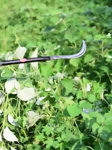 Long Handle Scikle Weeding Tool For Gardening Agricultural Tools Garden Tools Banana Splitter 60cm