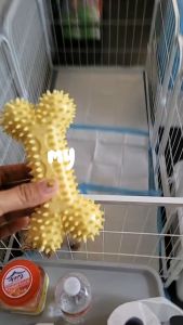 PET  TOYS Pet Dog Toy Pet Accessories Essential Bite Resistant Teeth Grinding Easy to Clean Dogs Asstd