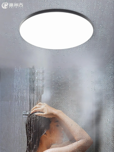 PAIMIJI | Waterproof Fog-proof Ceiling Light for Bathroom