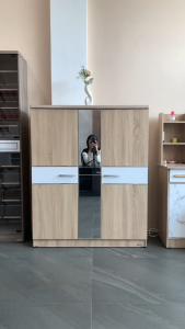 LUNARSOL Lemari Rak Sepatu Tertutup Lebar 100 CM | 2 Pintu 6 Susun Kapasitas Besar HUGA 4310