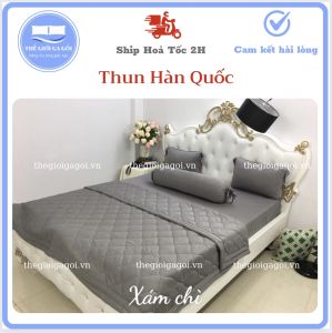[HCM_Link 1 ]Ga Lẻ Thun Lạnh Hàn Quốc 1 màu cao cấp ( không vỏ gối)