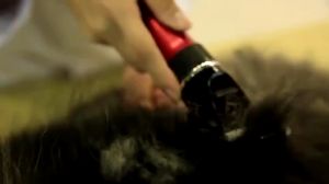 JAYA BaoRun P6 Mesin Alat Cukur Bulu kambing domba tanpa kabel di cas Elektrik Hewan kucing anjing