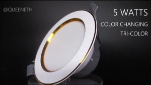 5w Color Changing LED Downlight Panel Ceiling Pin Light 220V maliwanag Indoor Outdoor Light 2 Years Warranty