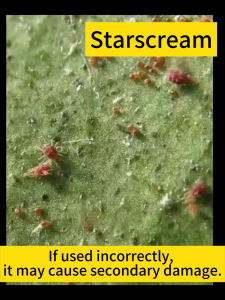 Effective to all PEST Kill all kinds of pests racun serangga tanaman 500ML No Pest Stands a chance Wil not harm plants Pesticides for plants spray Racun Serangga Organik Organic Pesticides Spray pest control 植物杀虫剂
