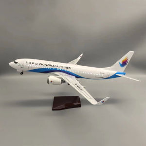 Mô Hình Máy Bay B737 Đông Hải 47cm Làm Bằng Nhựa Đúc Tỷ Lệ 1/160 Có Giá Đỡ Đồ Trang Trí Nhà Cửa Phong Cách Hiện Đại Tượng Trưng Hàng Không Dành Cho Người Đam Mê