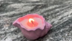 ALMONTE CONCH SHELL DAY S EYE  เทียนหอมอโรม่า  ไขถั่วเหลือง เทียนหอมปรับอากาศ เทียนหอมสร้างบรรยากาศ