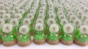 Preserved Fresh Flower Dandelion 6*8cm Glass Cover Gift: Perfect for Teachers Day, Mothers Day, Christmas & Womens Day