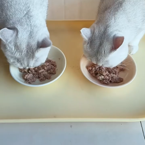 Nature Magic Hip & Joint Supplement Wet Food for Cat Weight Management Formula High Meat & Seafood NewZealand Sourced Ingredients Leg & Bone Support Same Facility as K9 ZIWI Zeal