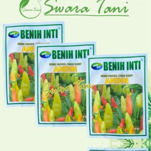 Benih Cabe Rawit Tegak ANDIN 10 gram Cap BENIH INTI Buah Lebat Unggul