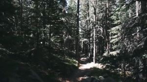 [แพ็คส่ง 1 วัน] Nextool Flagship Pro 16in1 Multi-Function / Nextool 10in1 มีดอเนกประสงค์ มีดสนาม มีดพก มีด มีดพับ