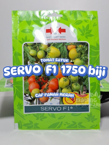 Benih Tomat Sayur Servo F1 1750 biji Cap Panah Merah dataran rendah menengah buah bibit gustavi sambal sambel tomato merah hydroponik hidroponik