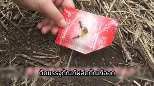 【ส่งจากกทม|พร้อมสต็อก】 ยาฆ่ามด ได้ผล ยากำจัดมด แพ็คเดียวเพื่อฆ่ามดทุกอาณานิคม กำจัดมด ยกรัง สารสกัดจากธรรมช เหยื่อมด เหมาะสำหรับมดหลายชนิด