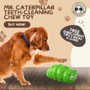✅[SG] MR. CATERPILLAR TEETH-CLEANING CHEW TOY ★ FREE Enrichment Tips & Ideas e-Guide Worth $7 ★ SG Stock ★ Kopi Lobang