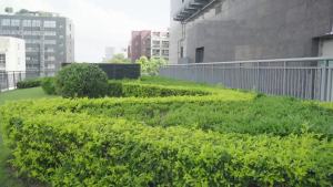 BRDRC | BRDRC Dây Buộc Có Thể Thu Vào Ba Lô Có Khóa Cho DJI Pocket 3/4/4P/Action 6/Insta360 Luna Dây Treo Siêu Từ Tính Phụ Kiện Chống Rơi