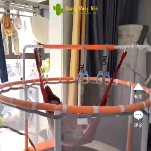 Ghế võng sân vườn treo xà đơn trong nhà màu sắc cầu vòng tải trọng 150kg Xương Rồng Nhỏ