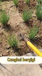 Rake rake besi/Cangkul Besi Mata Gerigi 7 Alat Bertani untuk penyiang rumput dan penggembur tanah