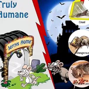 Safe Rat Control: Mouse Traps with Bait Station & Environmentally Friendly Solutions
