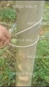 Stainless Steel Spring Trap for outdoor garden orchard