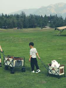 MK | Multifunctional Storage Foldable Kids Trolley